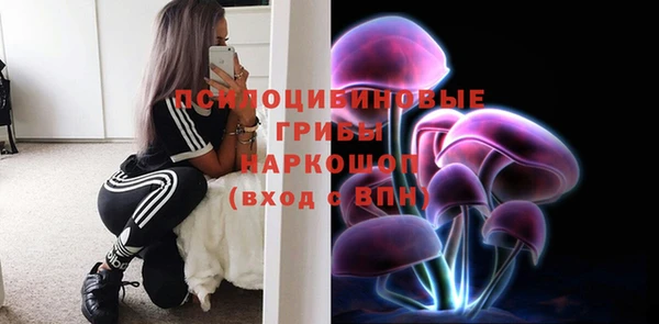 ешки Магас
