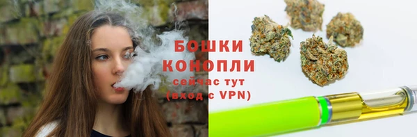 крисы Майский