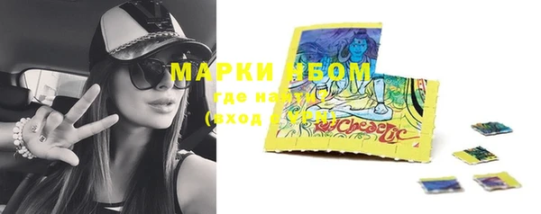 крисы Майский