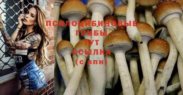 крисы Майский