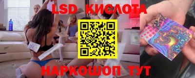 кокс Кингисепп