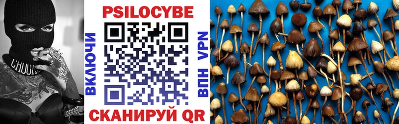 Псилоцибиновые грибы Cubensis  где купить наркоту  Уссурийск 